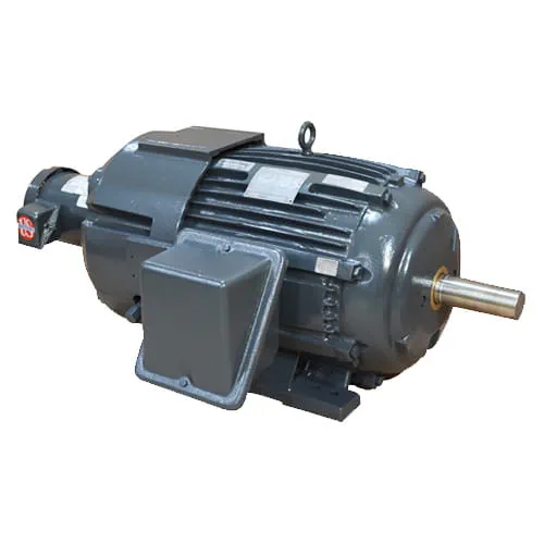 variable speed motor